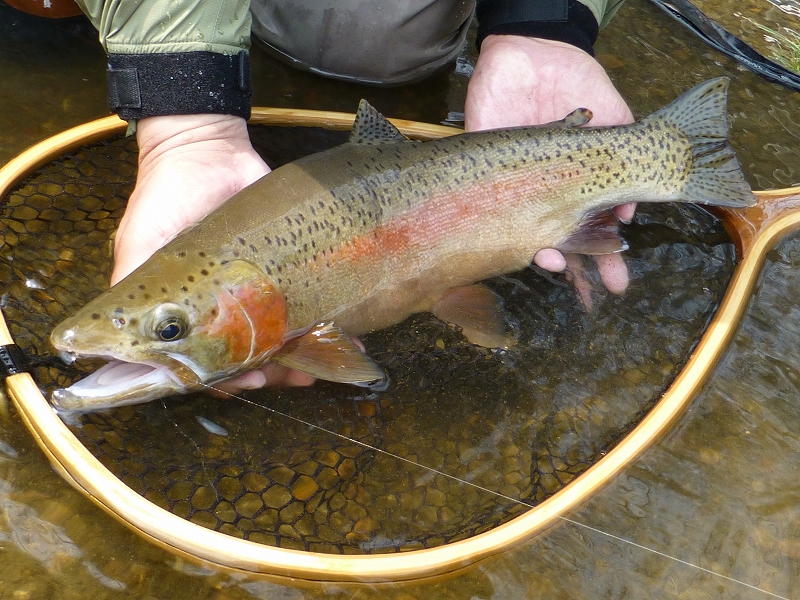 e0202393_1856299.jpg
