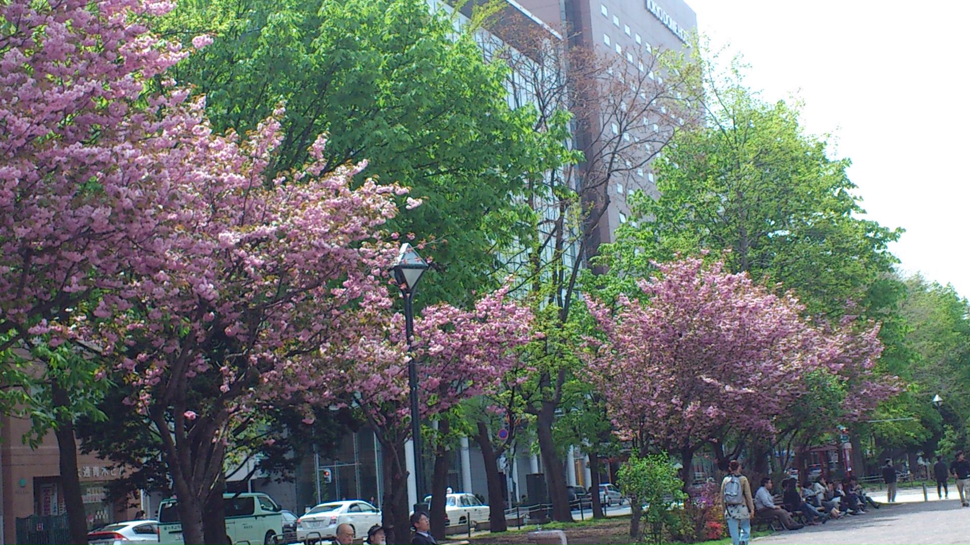 d0107097_12415173.jpg