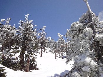 e0122199_2374622.jpg