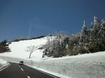 e0122199_237480.jpg