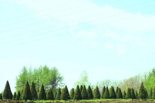 c0190900_5581133.jpg