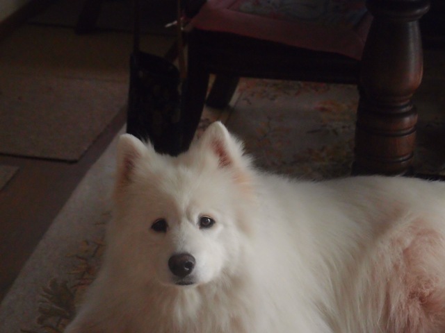 e0018604_14175732.jpg