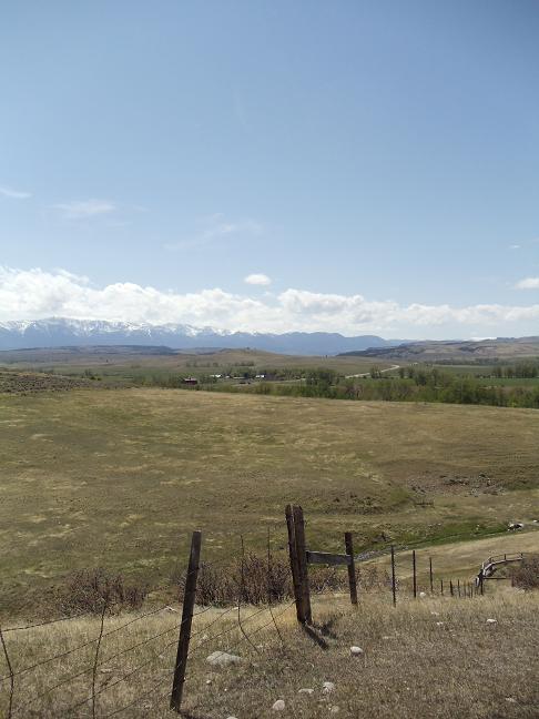 d0251307_313620.jpg
