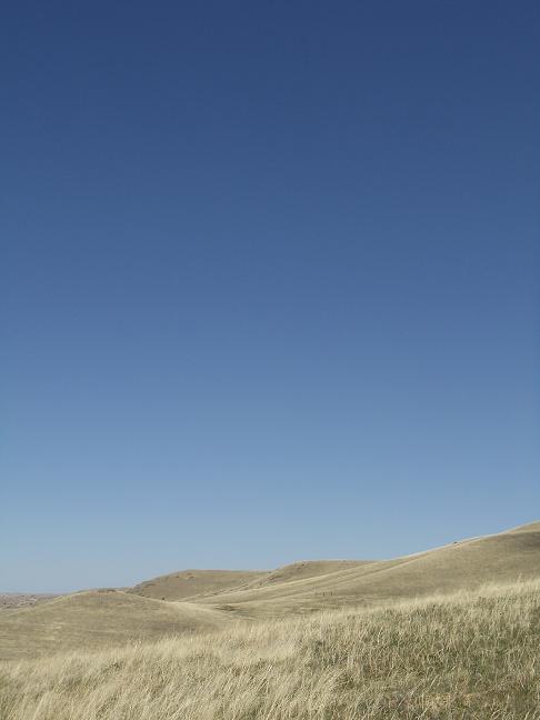d0251307_331714.jpg