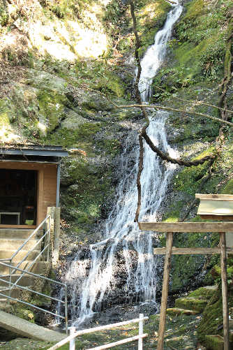 d0154609_1936355.jpg
