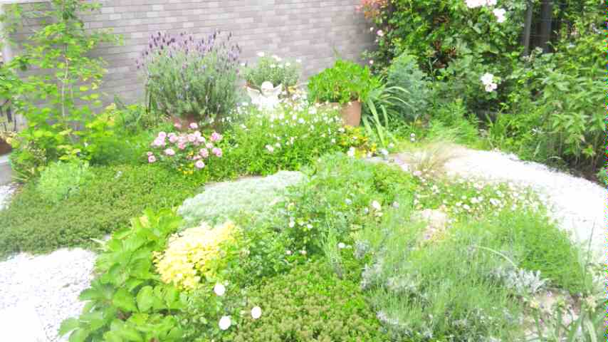 d0085018_053667.jpg