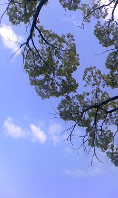 d0024220_8111253.jpg