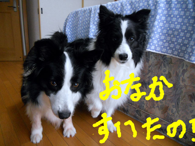 d0059230_8351496.jpg