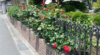 b0200240_11304961.jpg