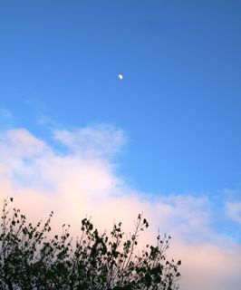 f0179947_0571557.jpg