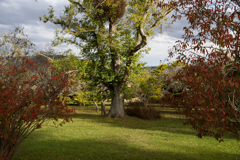 f0137354_1585745.jpg