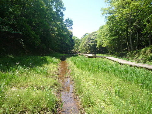 b0045357_8451660.jpg