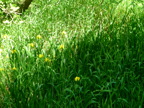 b0045357_855566.jpg