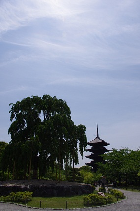d0182758_20533434.jpg