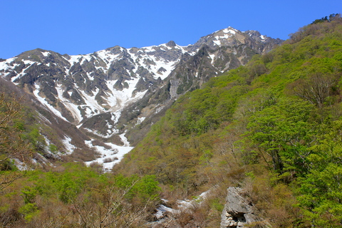a0248459_524417.jpg