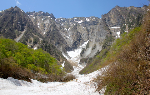 a0248459_544163.jpg