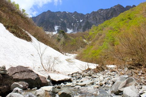 a0248459_551455.jpg