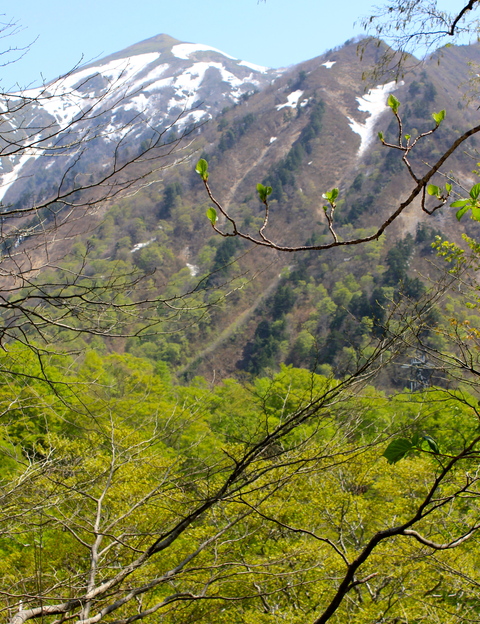 a0248459_5553488.jpg