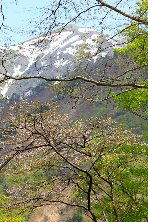 a0248459_5562325.jpg