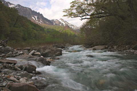 a0248459_56546.jpg