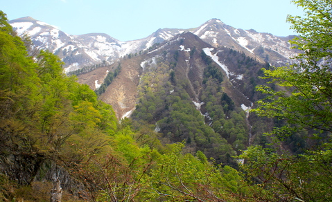 a0248459_6465986.jpg