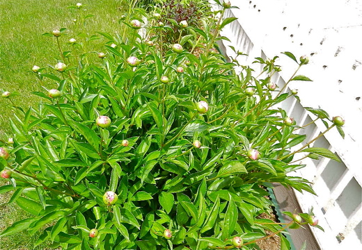 b0207361_11272428.jpg