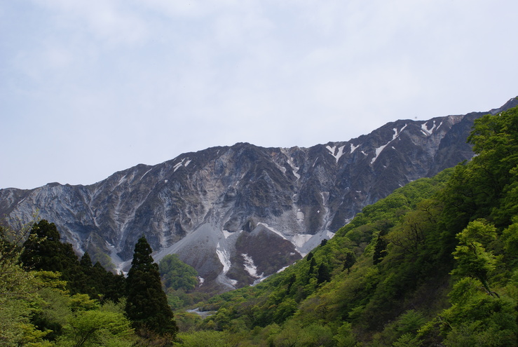 a0091666_21544323.jpg