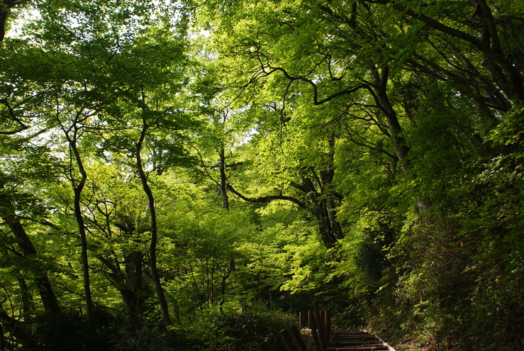 a0091666_2155228.jpg