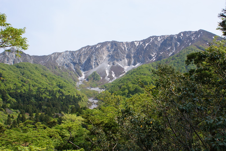 a0091666_21595186.jpg