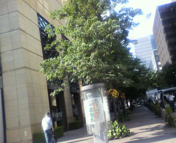 d0099166_2333349.jpg