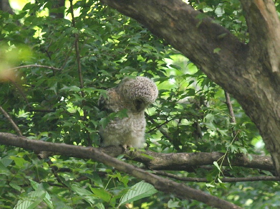 f0208666_18102531.jpg