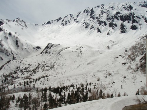 b0050067_157139.jpg