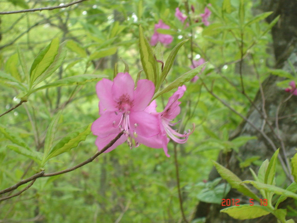 a0188775_18314980.jpg