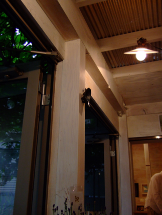 a0105480_1725880.jpg