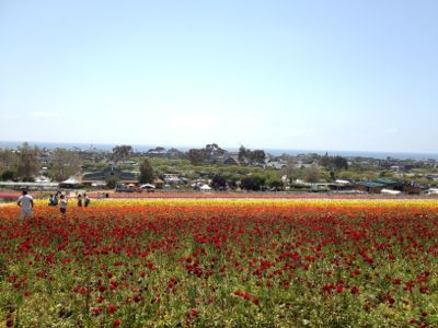 f0068883_14455159.jpg