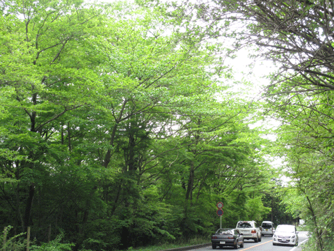 f0110488_23273436.gif