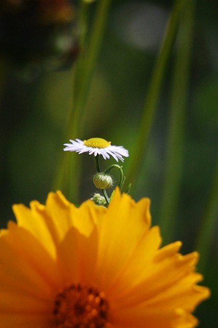 c0246290_1573236.jpg