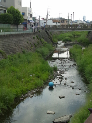 e0204795_8511821.jpg