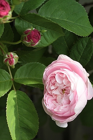 e0209997_0325623.jpg