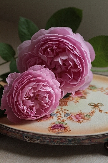 e0209997_2110453.jpg