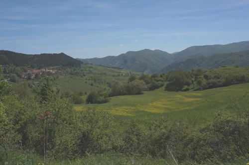 f0106597_5172491.jpg