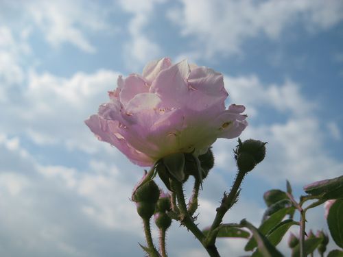 f0201297_818212.jpg