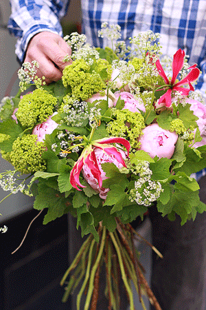 f0175799_2347293.gif