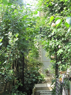 c0152002_1926176.jpg