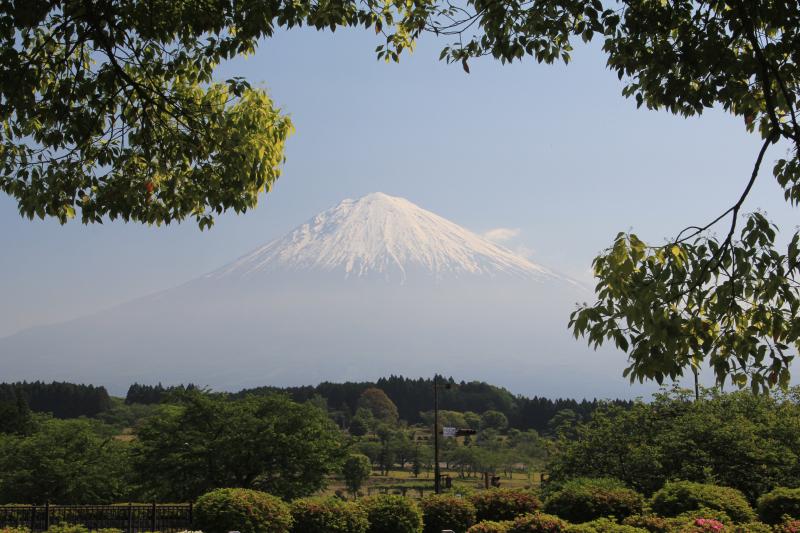a0188405_17302219.jpg