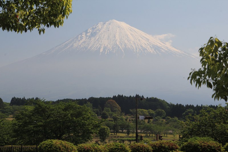 a0188405_17304118.jpg