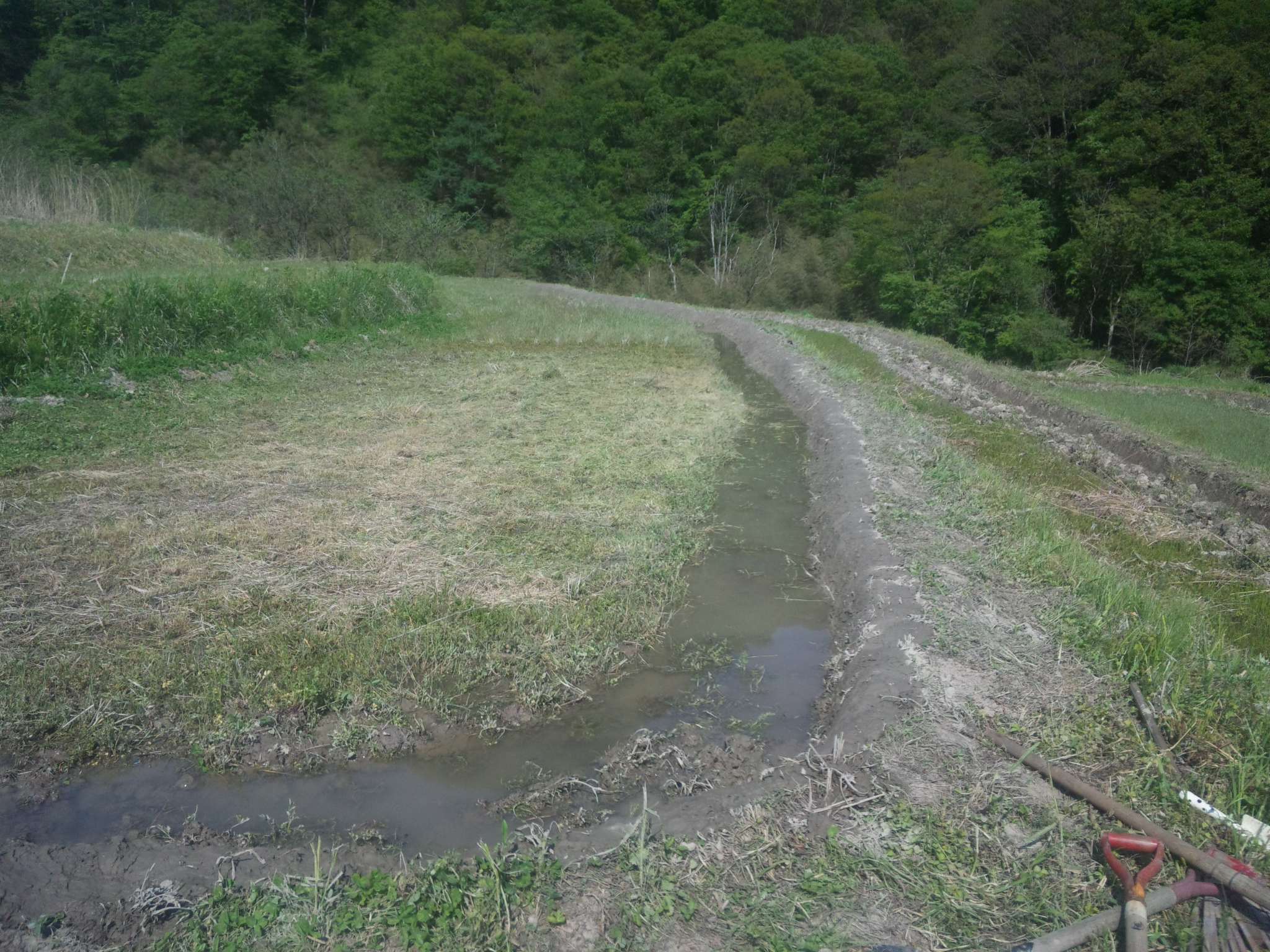 c0126205_19482133.jpg