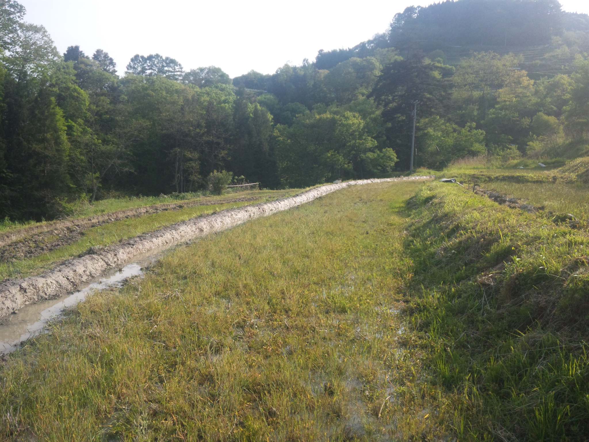 c0126205_19482192.jpg