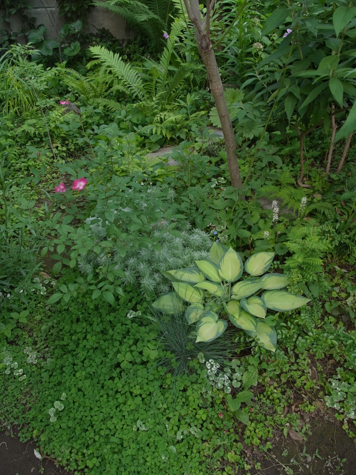 e0276411_22262399.jpg