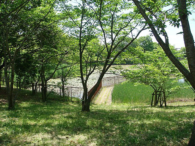 b0068423_21182666.jpg